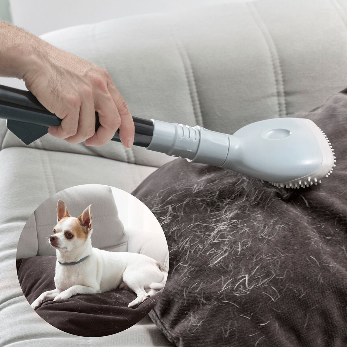 Effortless Pet Hair Removal Made Easy!
