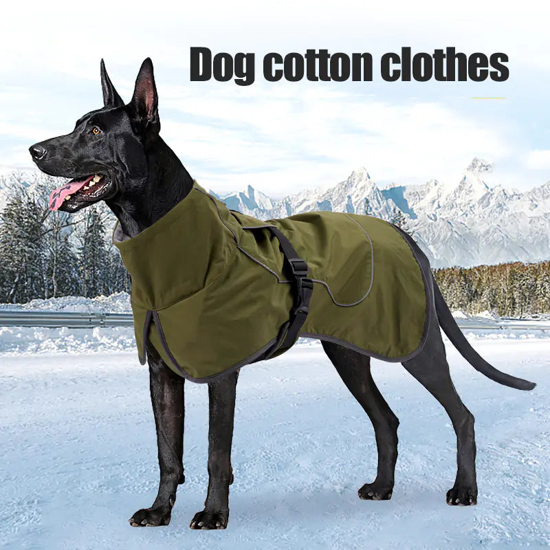 Winter Chic Apparel for Dogs