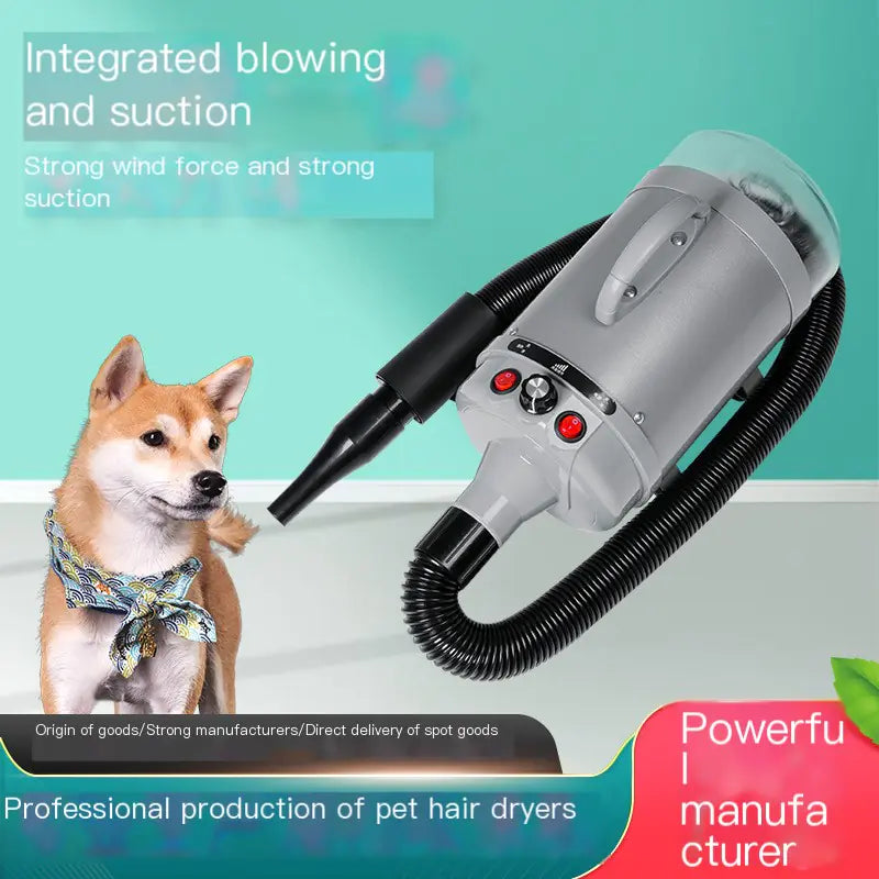 High-Power Pet Blow Dryer for Large Dogs