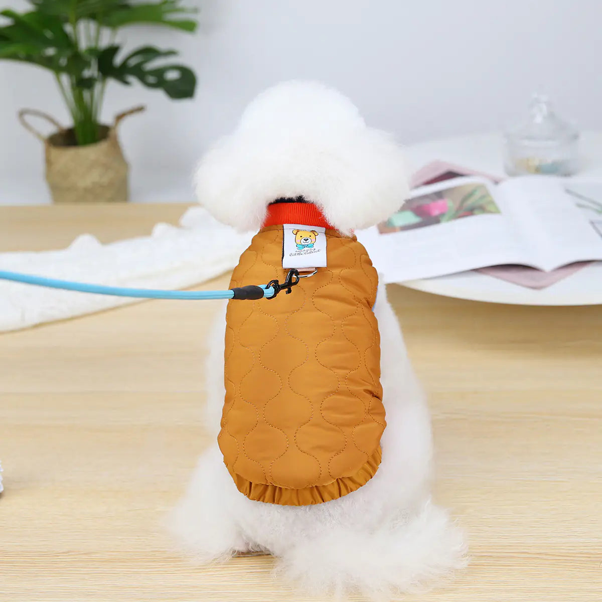 Cozy Puppy Autumn-Winter Vest