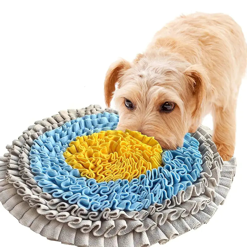 Pet Training Blanket with Smelling Pad Toy