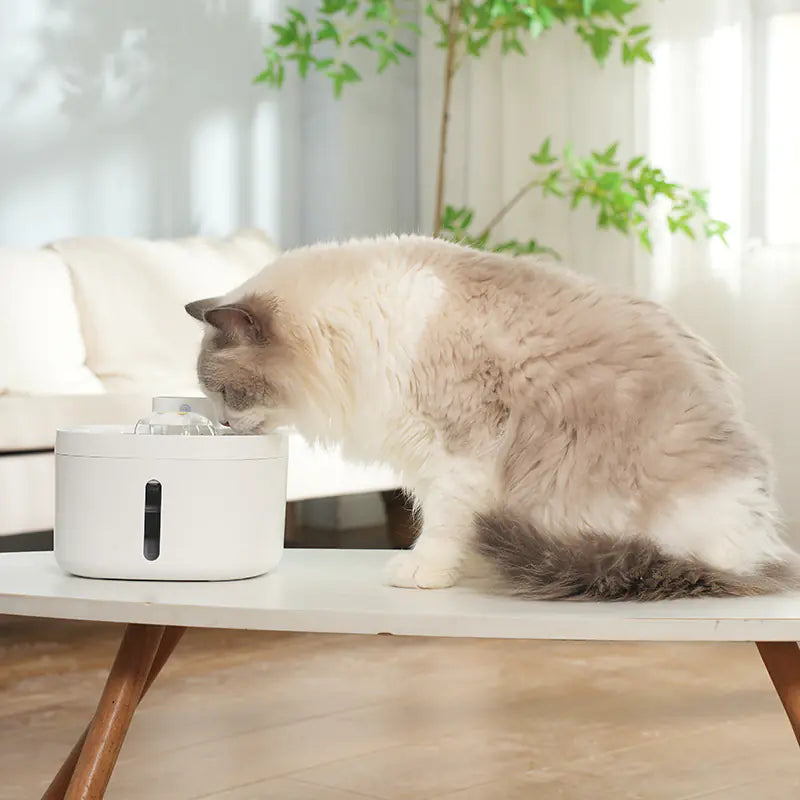 Smart Pet Wireless Water Dispenser with Stainless Steel Bowl