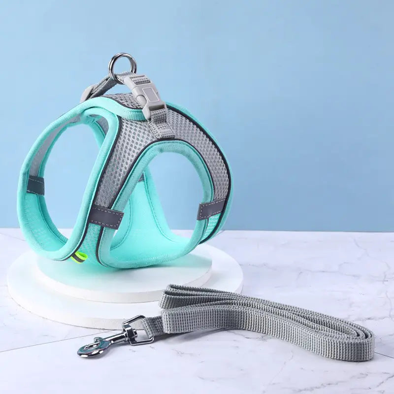 Hi-Vis Pet Safety Harness Set