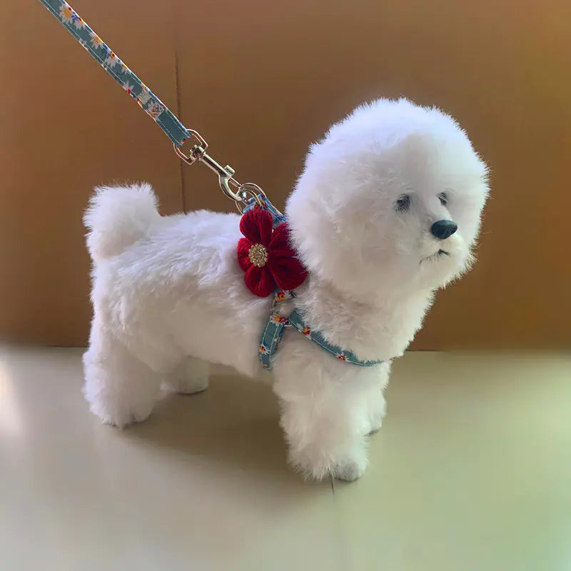 Adjustable Pet Chest Harness with Traction Leash