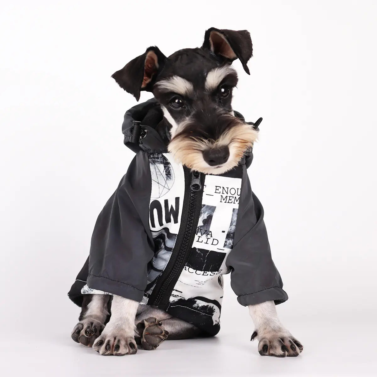 Chic Reflective Pet Raincoat