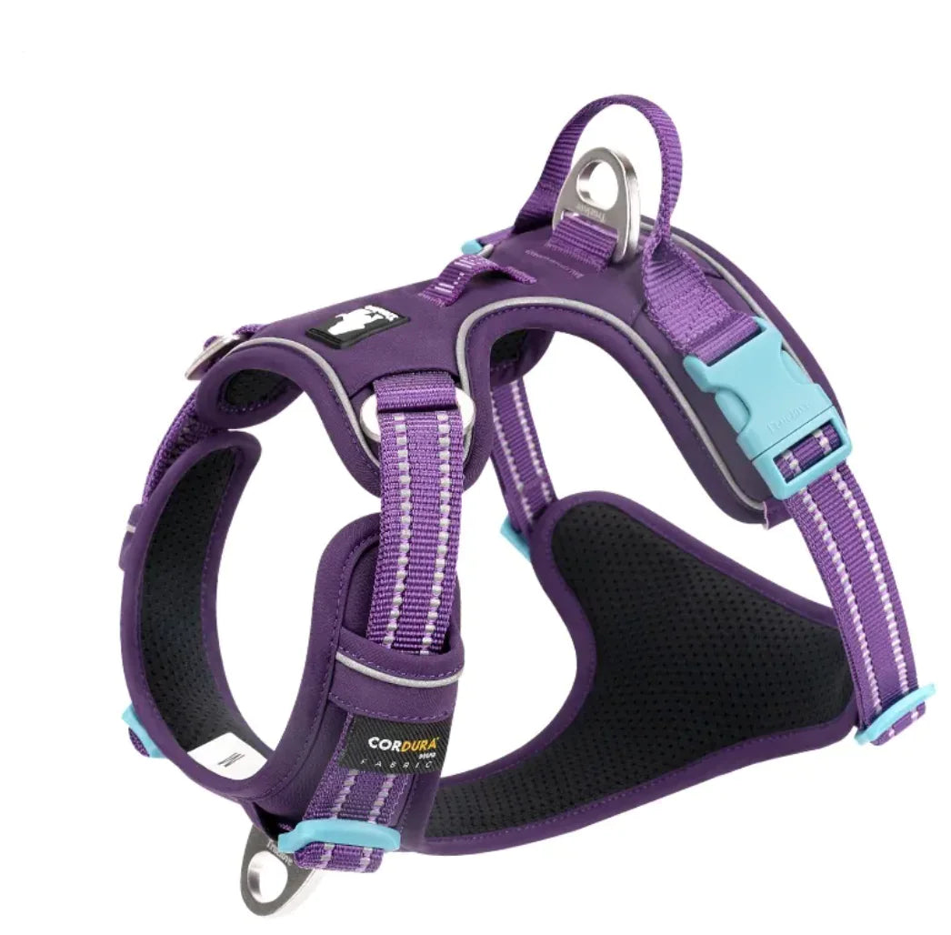 Reflective Dog Harness with Leash