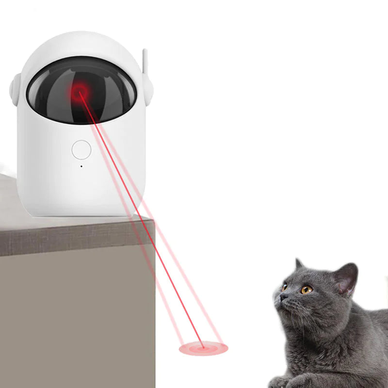 Rechargeable Laser Pet Play