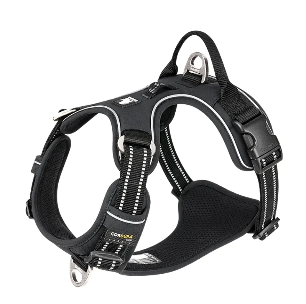 Reflective Dog Harness with Leash