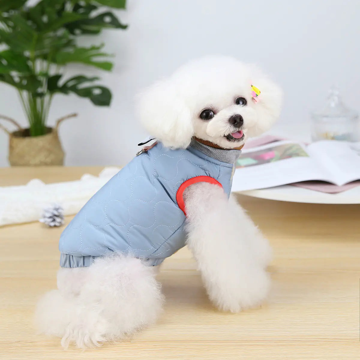 Cozy Puppy Autumn-Winter Vest