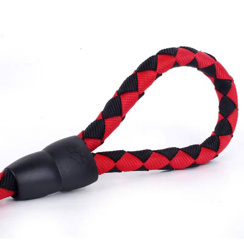 Canine Comfort Trio: Leash, Harness, Collar