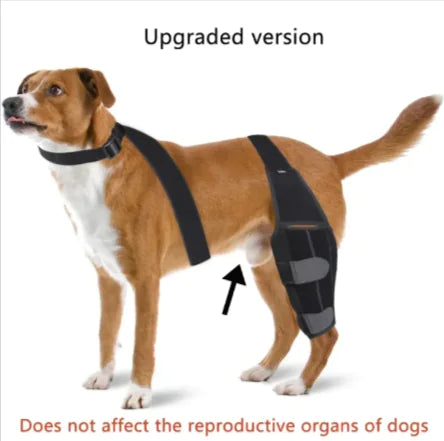 Canine Comfort Knee Pads: Protective Dog Gear