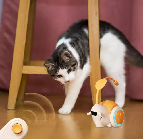 Feather Frenzy Cat Teaser