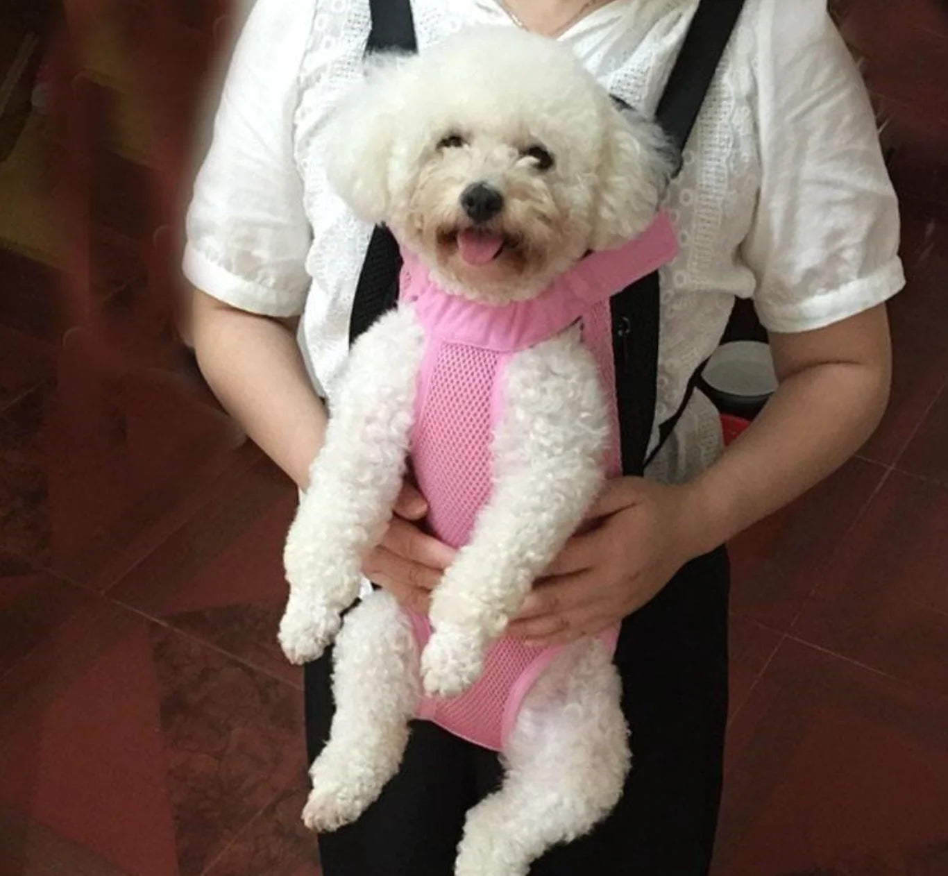 Pet Travel Comfort Harness