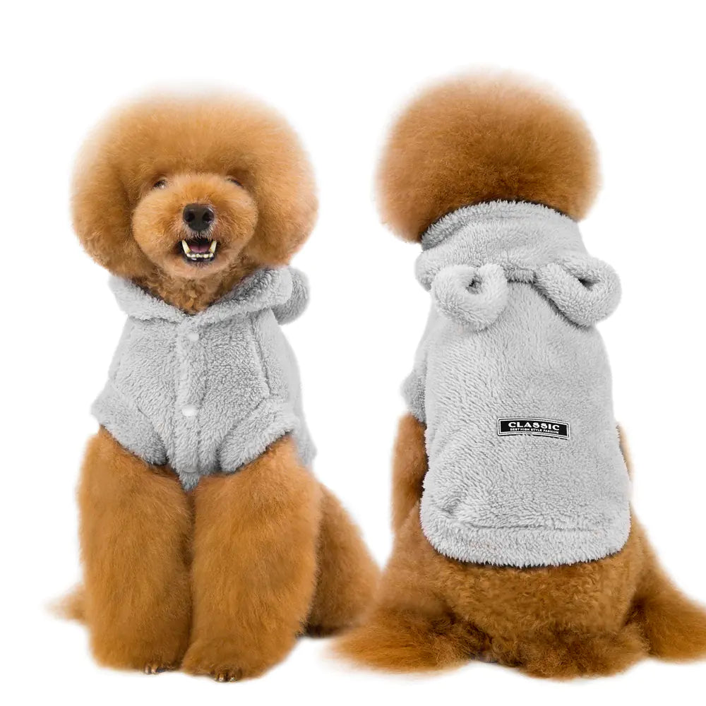 Dog Apparel and Accessories