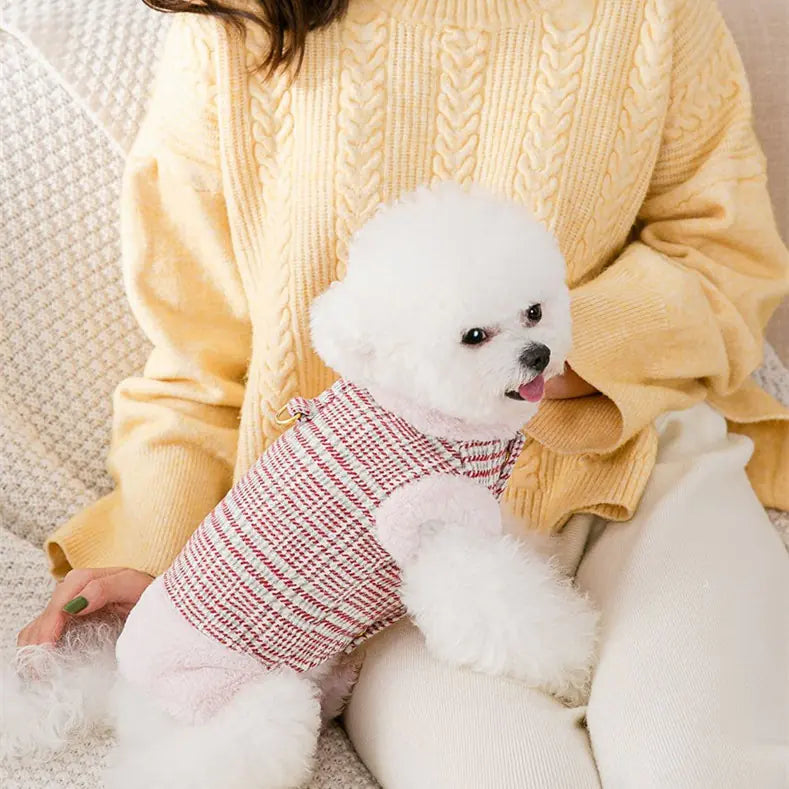 Cozy Cotton Pet Apparel for Fall & Winter