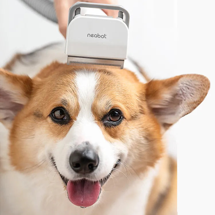 ✂️ Professional Pet Grooming Tool — Shave, Trim & Maintain Your Pet’s Coat