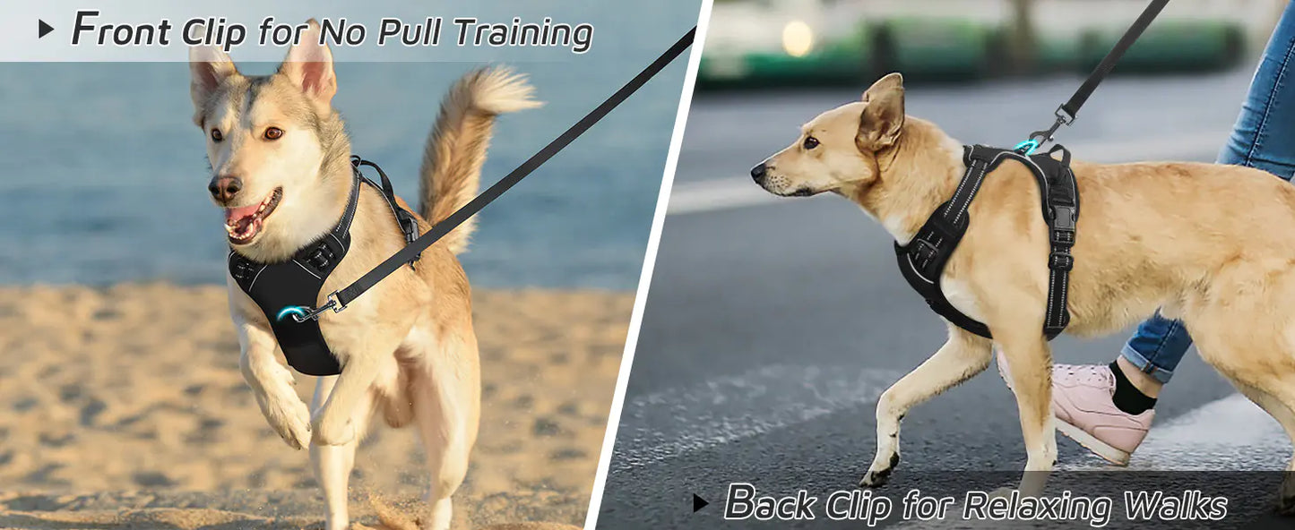 Teddy's Fund Fur Vest Chest Strap