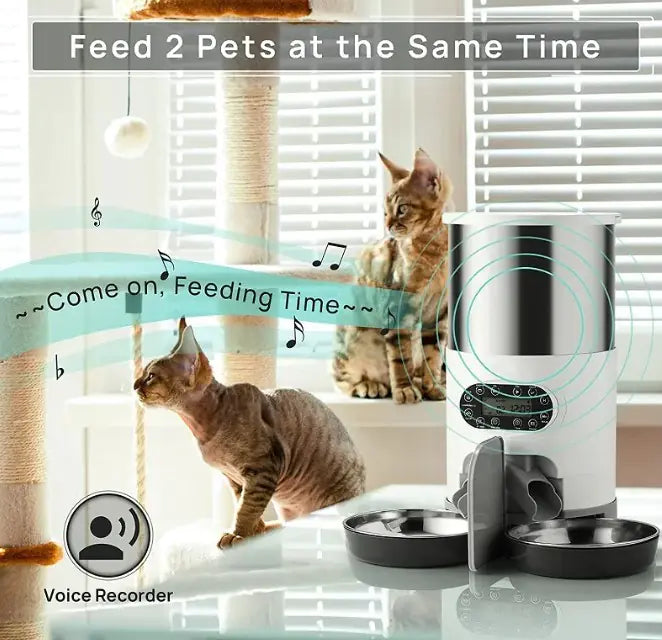 PetPortion Stylish Feeder