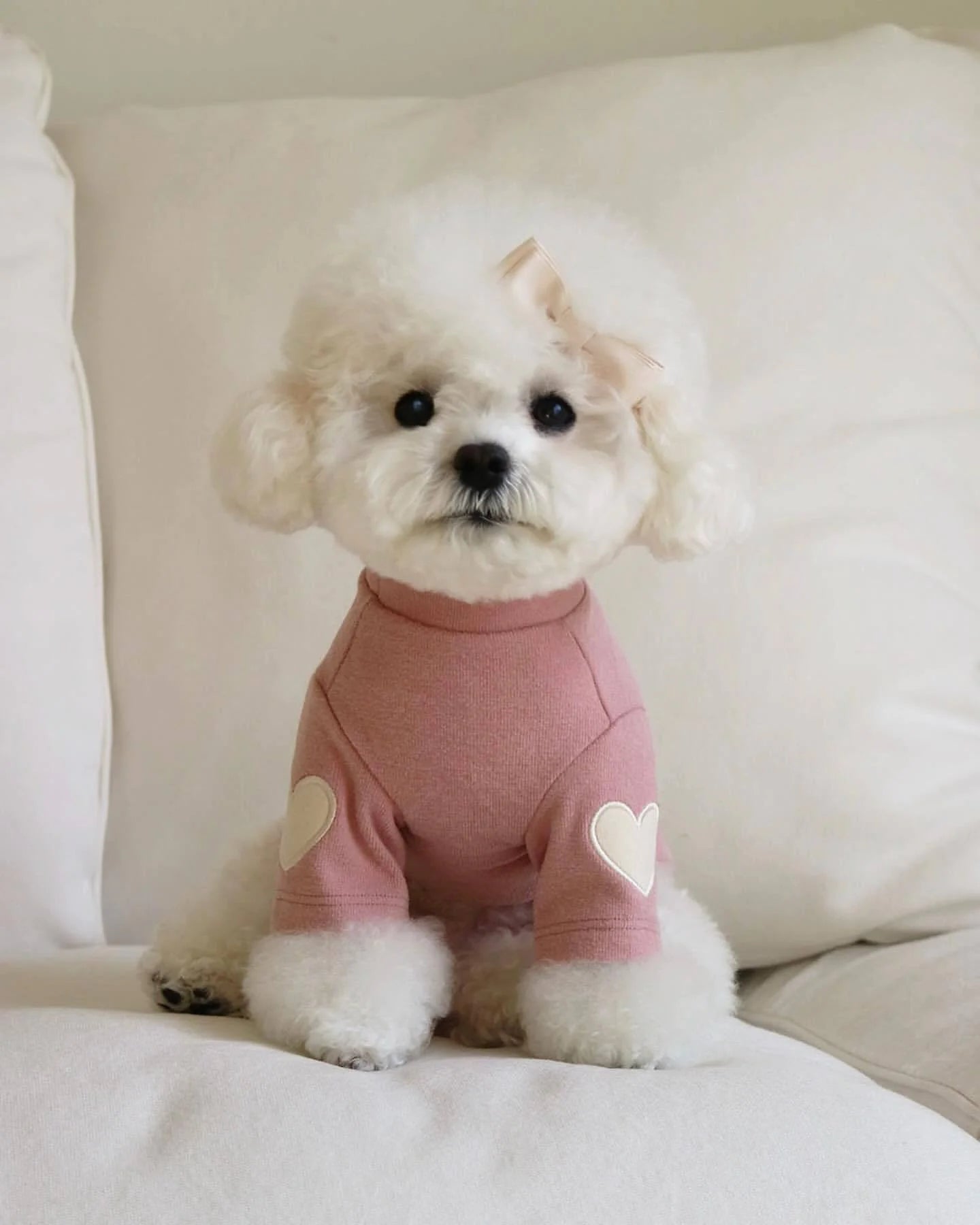 Chic Embroidered Pet Sweater