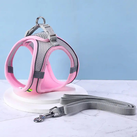 Hi-Vis Pet Safety Harness Set