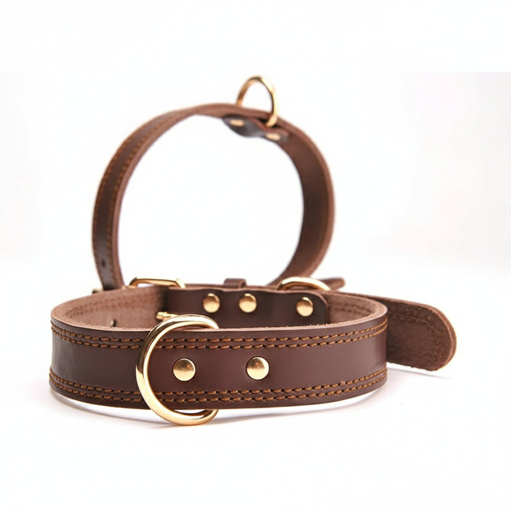 Leather Dog Collar for Pet Supplies