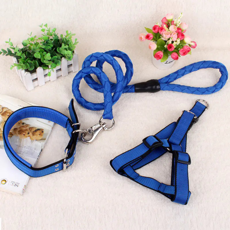 Canine Comfort Trio: Leash, Harness, Collar
