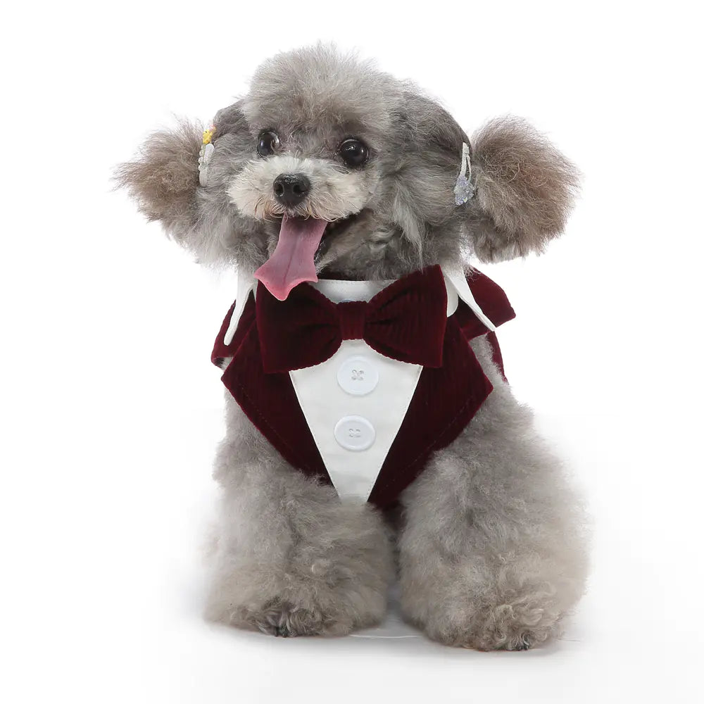Chic Dog Tuxedo Collection