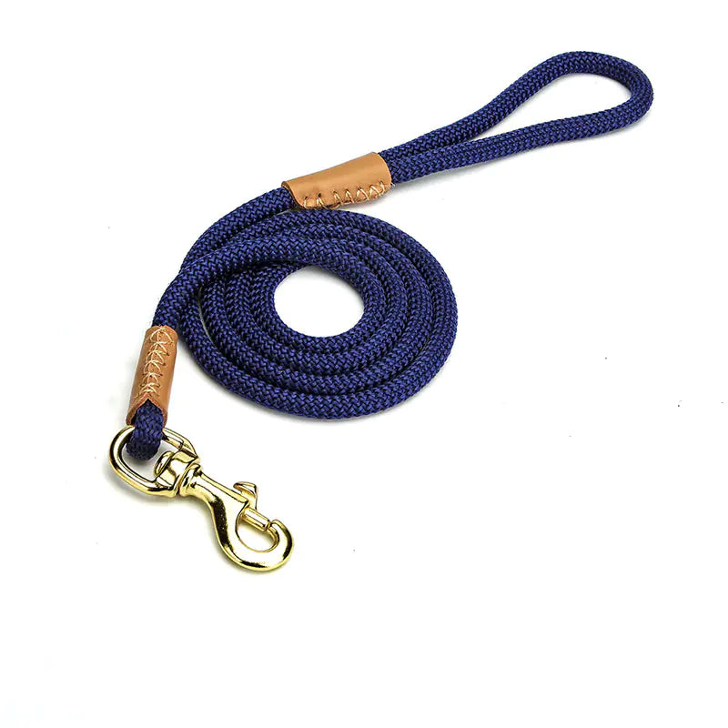 Lightweight Dog Leash for Walking Puppies
