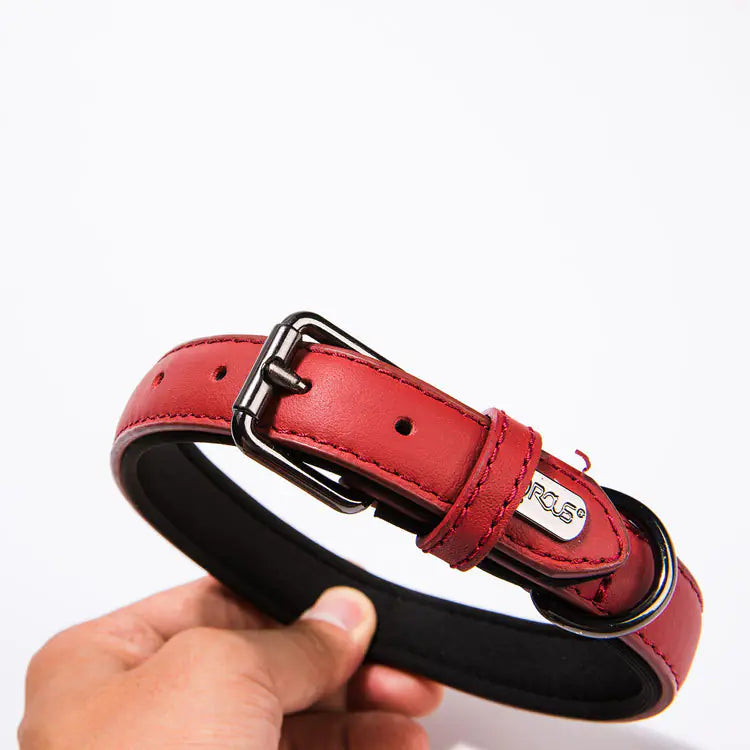 LuxStyle Waterproof Leather Small Dog Collar