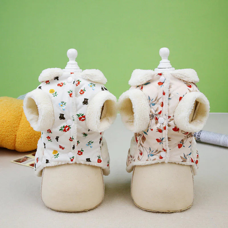 🍂❄️ Autumn & Winter Pet Clothes — Warmth and Style for Your Furry Friend