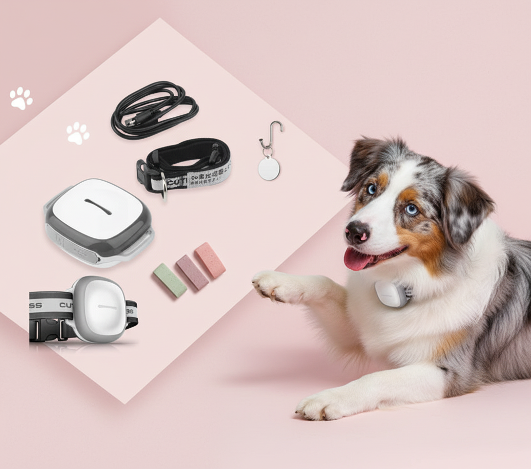Locator Pet — Smart Tracking for Your Furry Friends