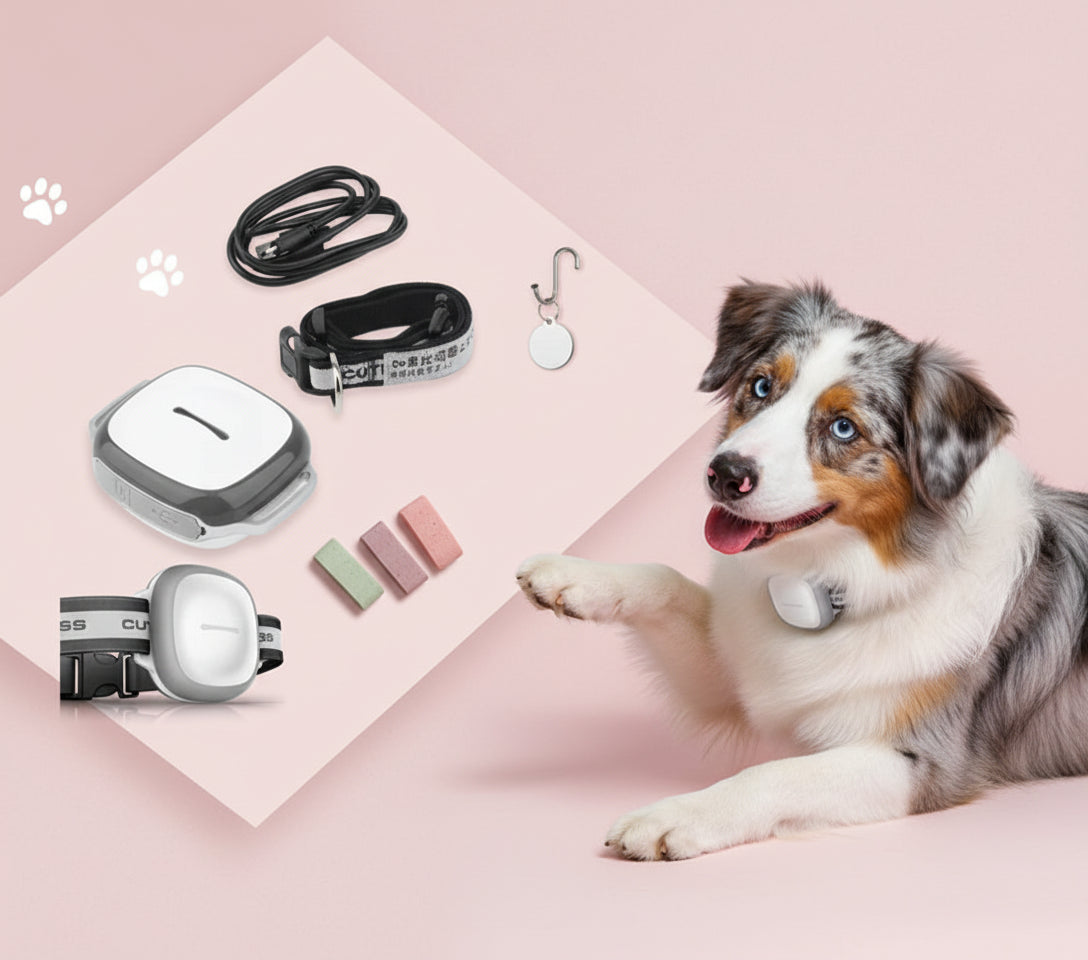 Locator Pet — Smart Tracking for Your Furry Friends