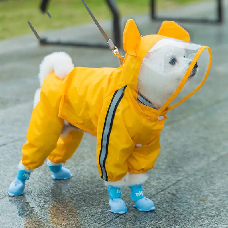 Autumn Pup Rainwear