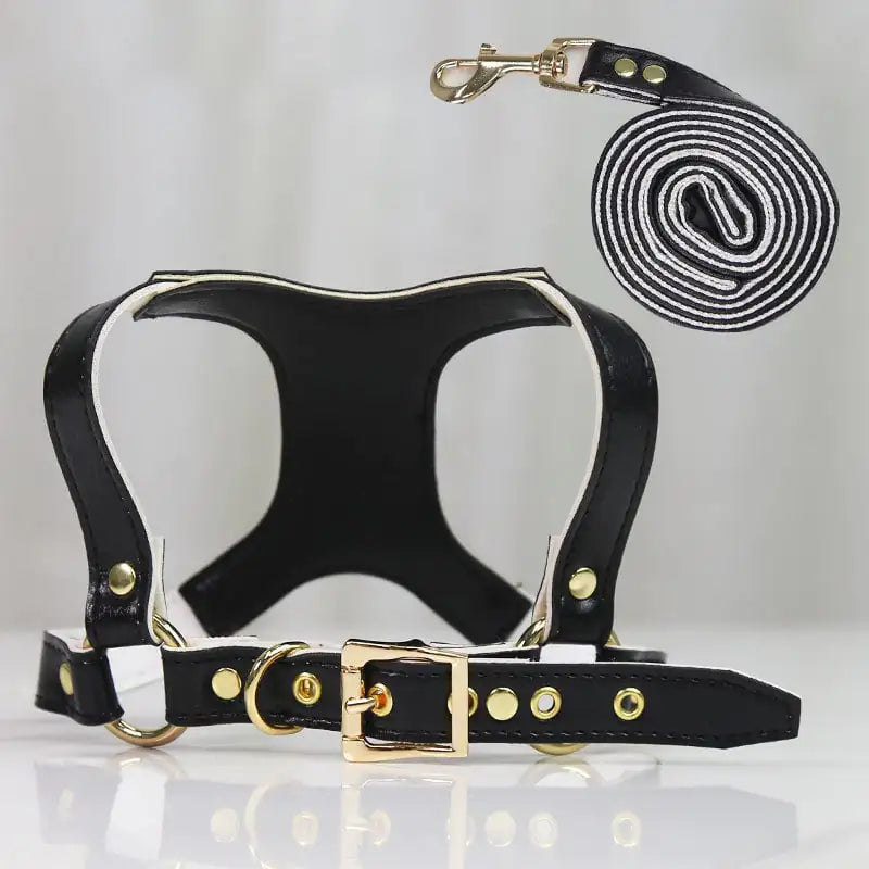 PawControl Small & Medium Dog Leash