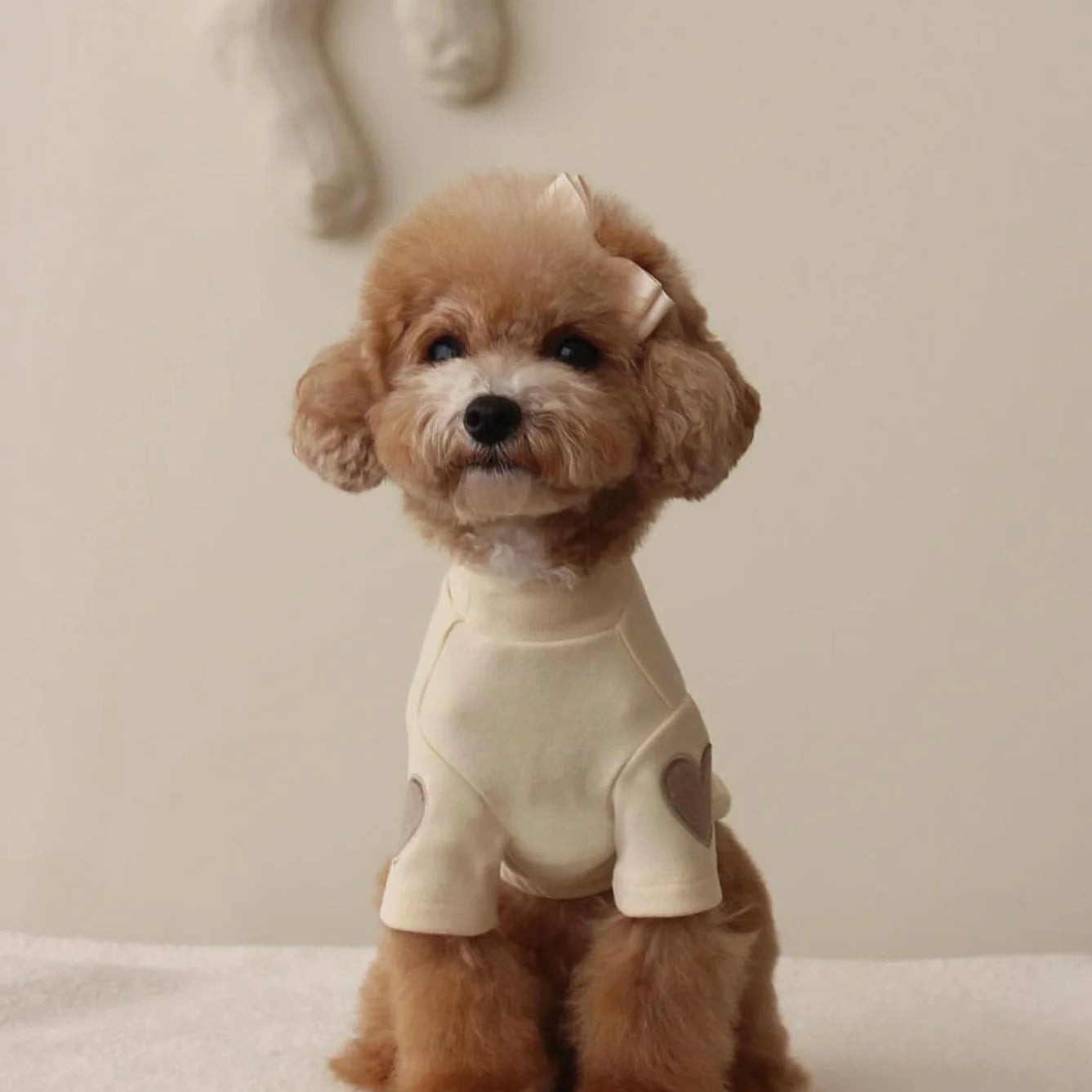 Chic Embroidered Pet Sweater