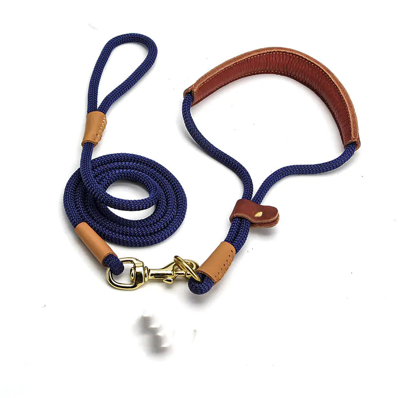 Lightweight Dog Leash for Walking Puppies