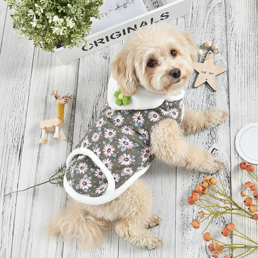 Daisy Coat for Dogs - Two-Legged Clothing Outfit