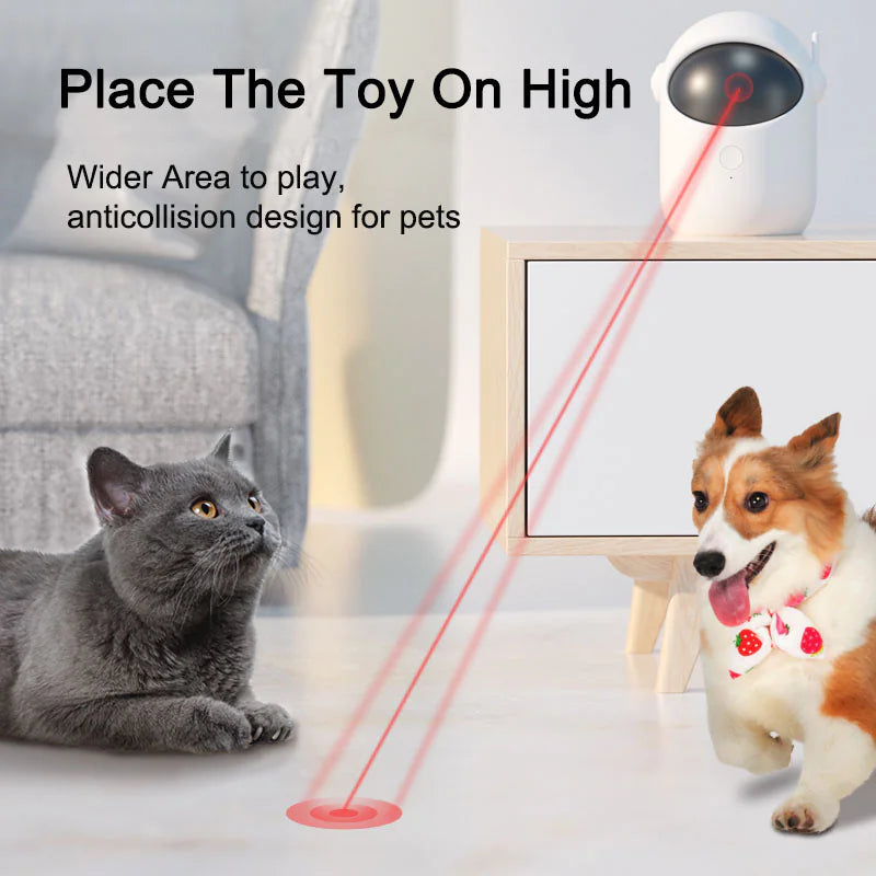 Rechargeable Laser Pet Play
