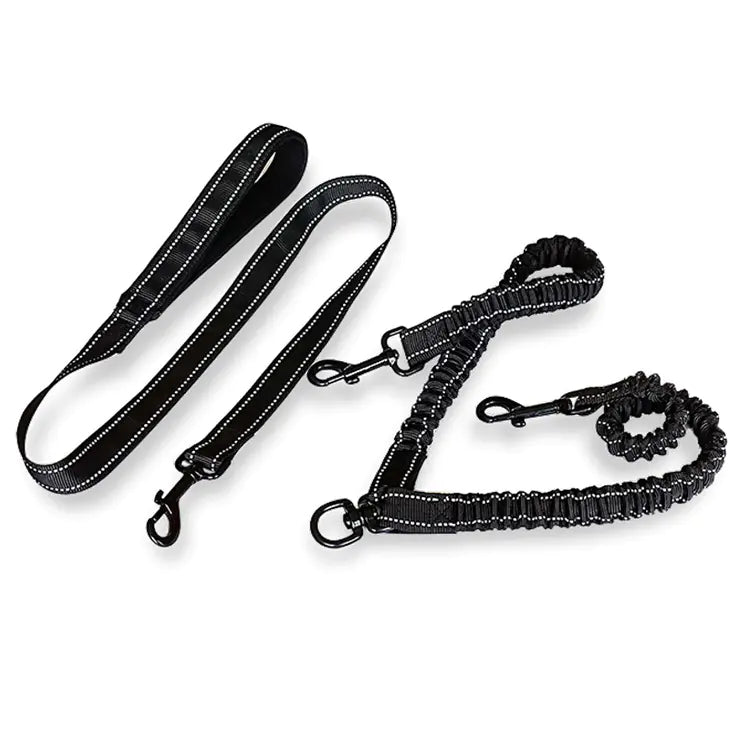 Dual Dog Leash with Reflective Features