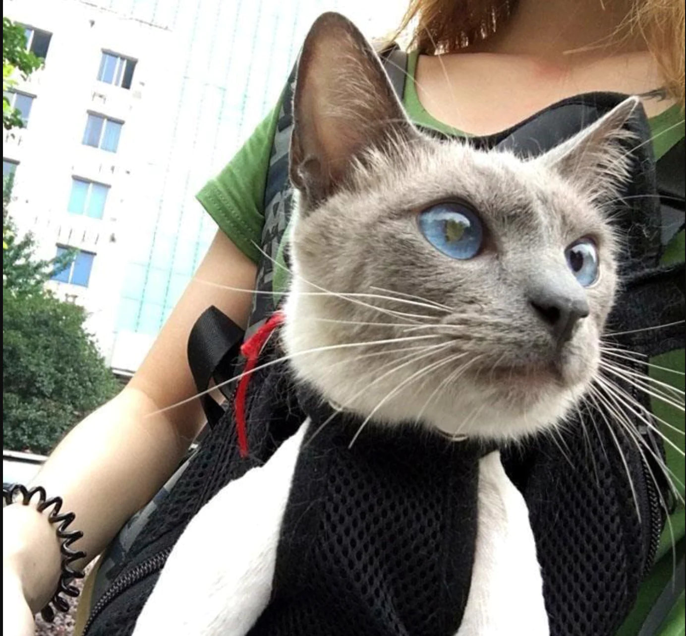 Pet Travel Comfort Harness