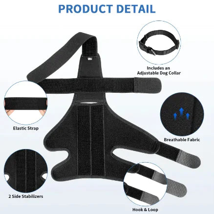 Canine Comfort Knee Pads: Protective Dog Gear