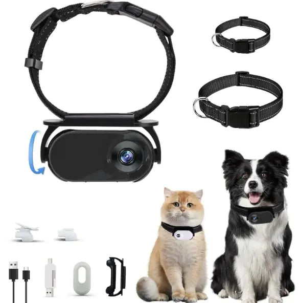 Portable HD Pet Activity Recorder