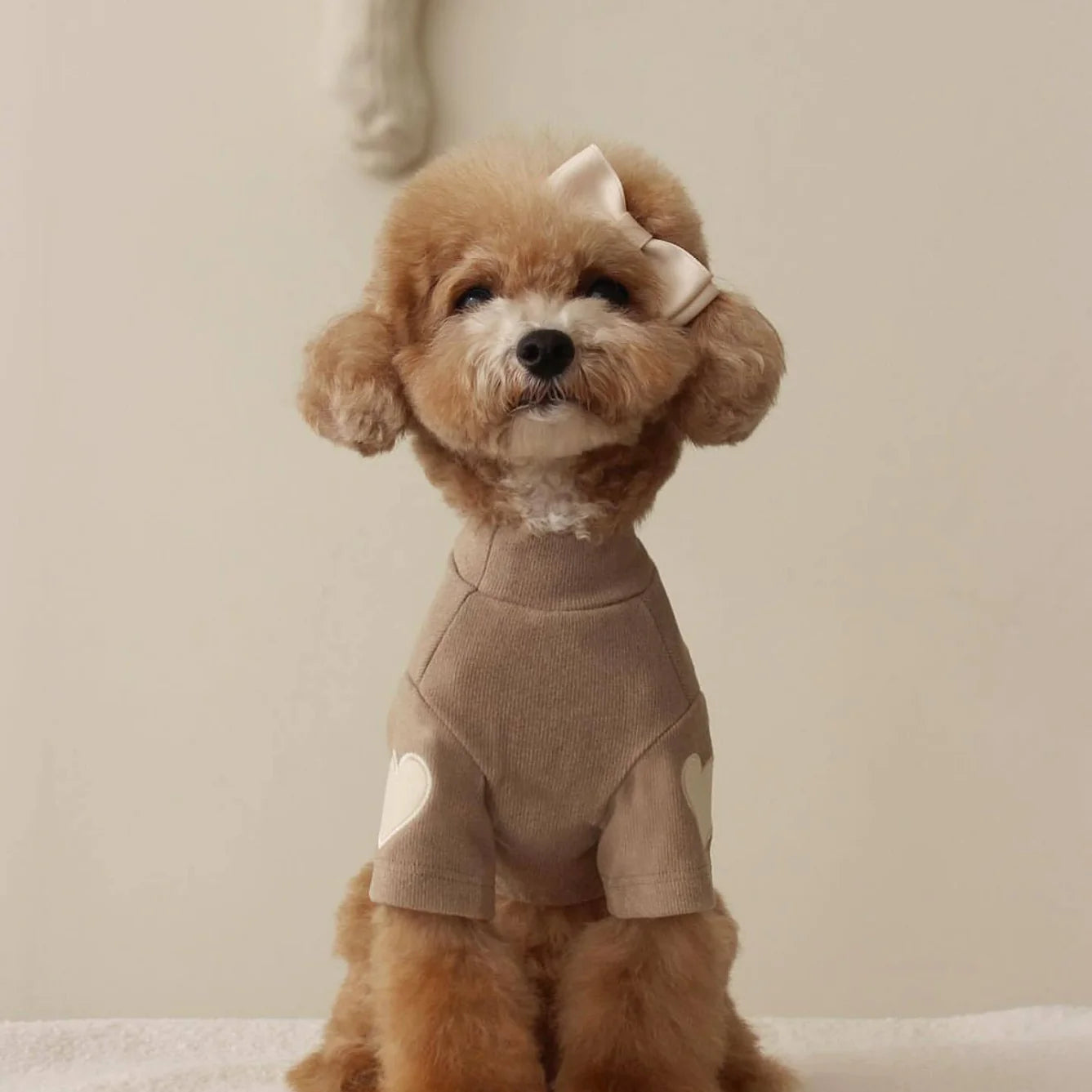 Chic Embroidered Pet Sweater