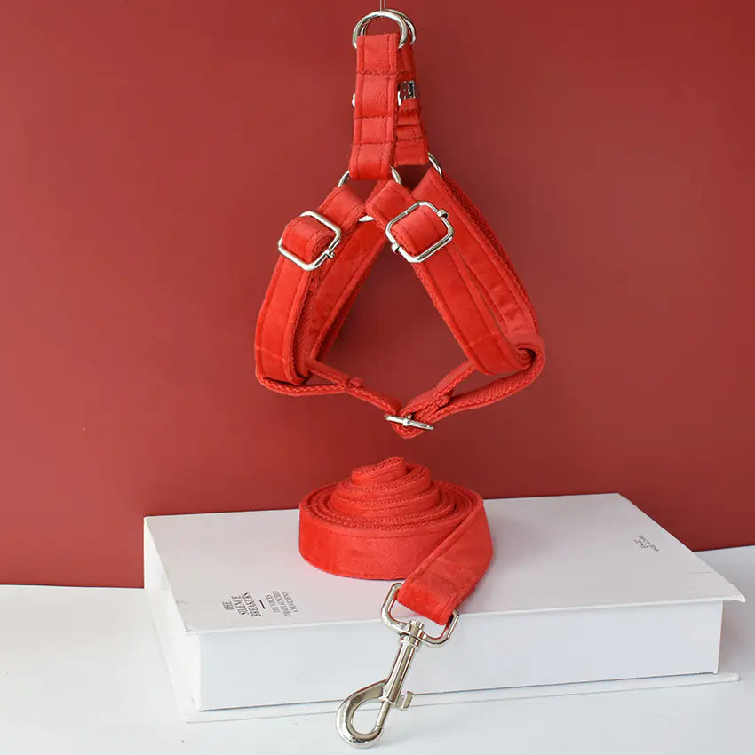 Personalized Engraved Pet Collar for Cocker Spaniel