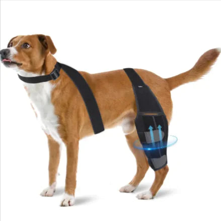 Canine Comfort Knee Pads: Protective Dog Gear