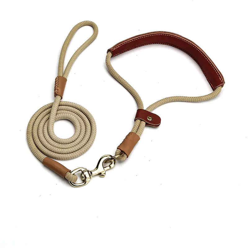 Lightweight Dog Leash for Walking Puppies