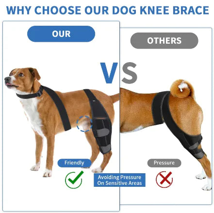 Canine Comfort Knee Pads: Protective Dog Gear