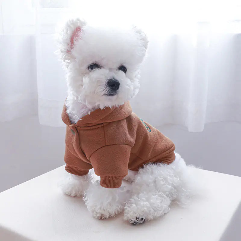 Chic Pet Wear for Small to Medium Dogs
