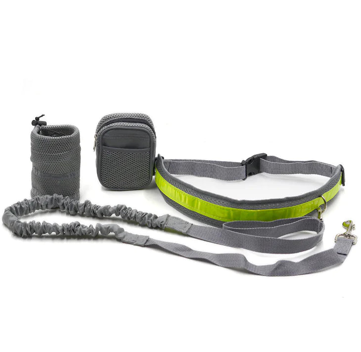 Explorer Dog Walking Gear with Reflective Straps