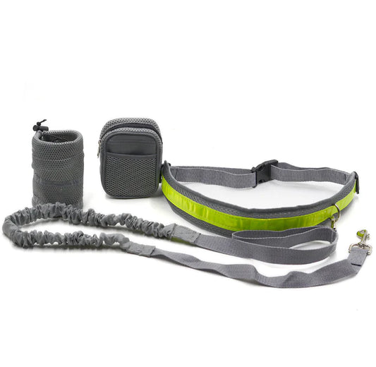 Explorer Dog Walking Gear with Reflective Straps